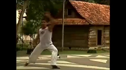 Capoeira 