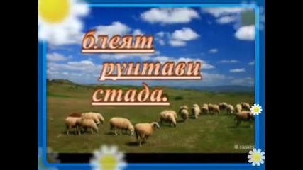 @ П р о л е т @ 