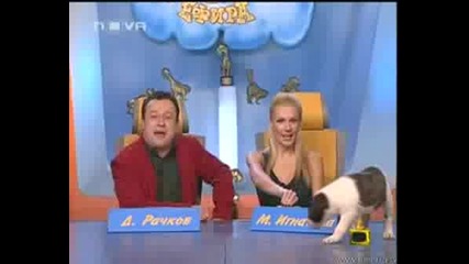 Dancing Stars Краде От - Господари На 