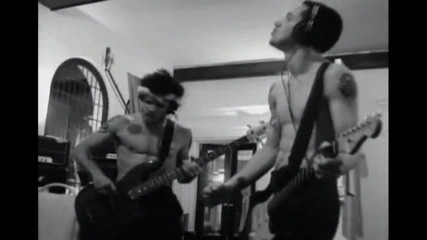 Red Hot Chili Peppers - Sir Psycho Sexy 