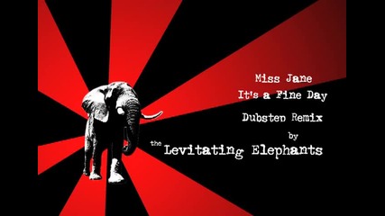 Miss Jane - Its a Fine Day (levitating Elephants Dubstep Remix) 