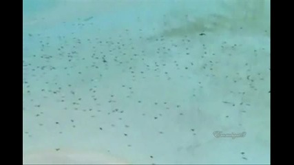 Moby Enya - Sail Away
