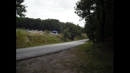 Рали 2010 