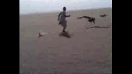 The Hunter .wmv