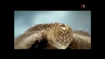 XS - Эдем И Ад