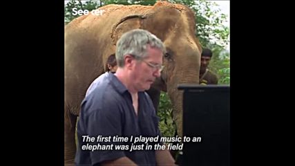 слоновете обичат музика