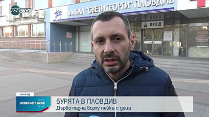 Дърво падна и рани три момичета в Пловдив
