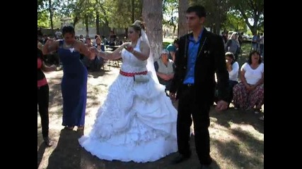 sevdjan tv
