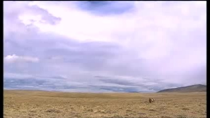 Ray Mears Bushcraft S02e03 - American Prairies