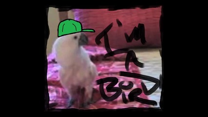 Im A Bird Motha F** Remix!! (tobuscus)