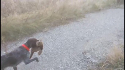 Vid_20151220_162207