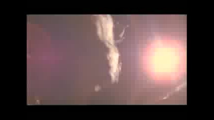 Seal - The Right Life