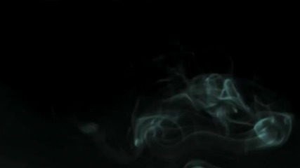 Busta Rhymes -why Stop Now ft. Chris Brown- Official Music Video
