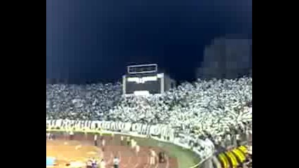 Partizan Belgrade Supporters (grobari)