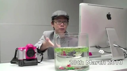 Will it break Sandisk Sd Card Underwater Test 