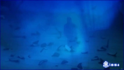 Посветено на кралят на попа Майкъл Джексън