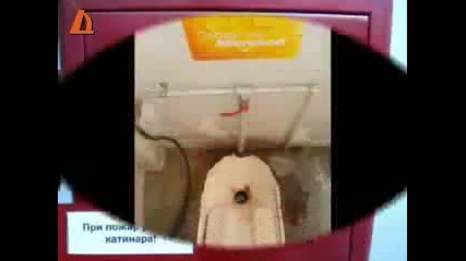 Смешни снимки