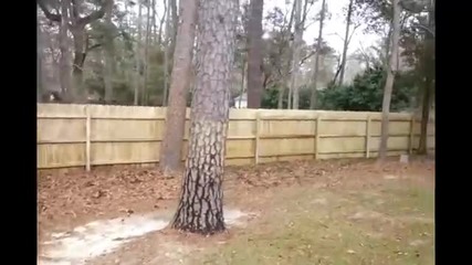 How to properly pressure wash a fence - Tallahassee pressure washing