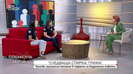 Започва национална кампания в подкрепа на бездомните животни