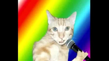 Singing Kitty