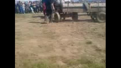 Максимус - Пирдоп 2011