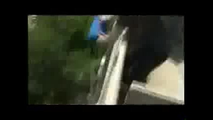 Много Смях