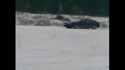 Pernik Motanie 3gp