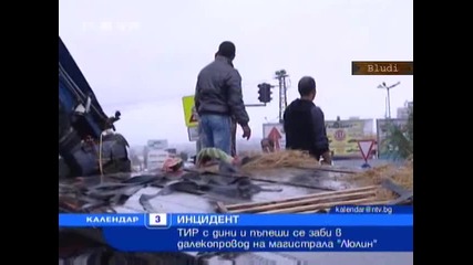 Гладни цигани крадат дини и пъпеши от румънски Тир, катастрофирал в ел. стълб (2)