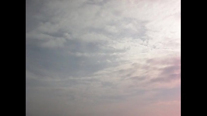 Sam_2306