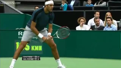 Del Potro vs Dimitrov - Rotterdam 2013 - Hot Shot From Del Potro!