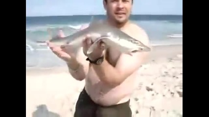 Baby Shark - Бебе акула