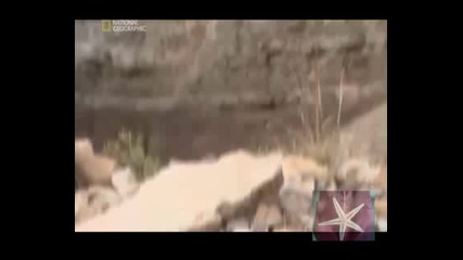 ! Изчезване На Човечеството 2, Чиста Наука