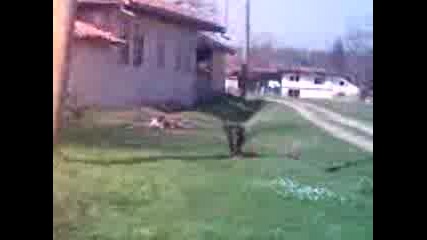 Бъки И Боро