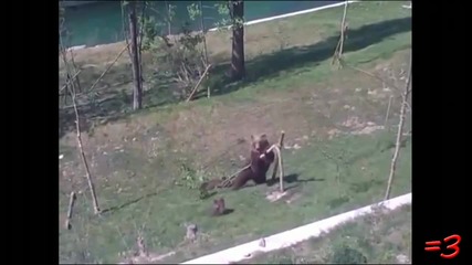 I Love You Дневните Три