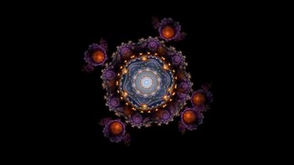 Fractal Flame Animation 
