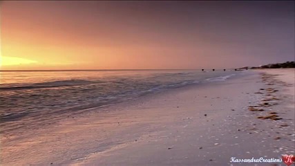 Seaside - Beautiful Beach Scenery 