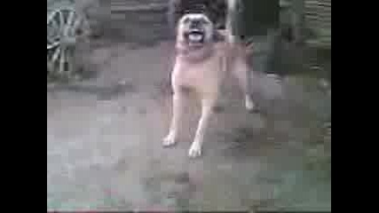 Video007.3gp