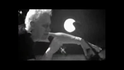 Martin Lee Gore - Shake The Disease - Live.avi