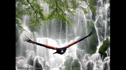 Tritonal - Poem Of Angels