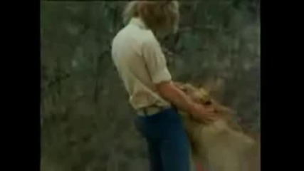 Lion Embraces Friends - Amazing Ly Beautiful 
