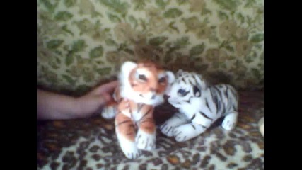 Лила и Лили - Близначките тигри 