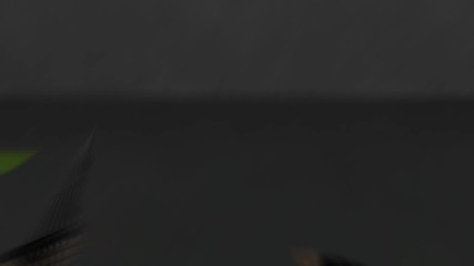 zyllee goes sw