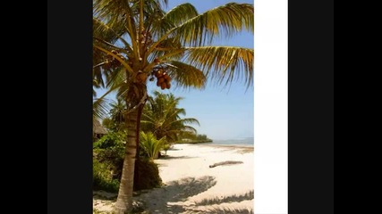 Summerhits Summertime Summer Estate Beach Sun Holiday 
