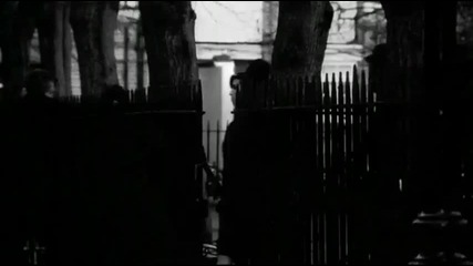 Amy Winehouse - Back To Black (high Definition)