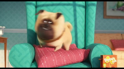 'The Secret Life of Pets' First Trailer