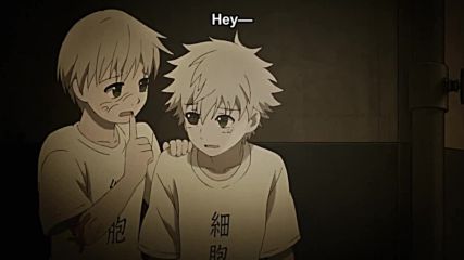 Hataraku Saibou Episode 7