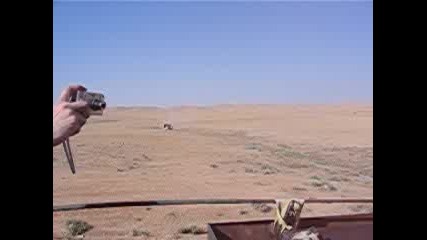 Saw Firing