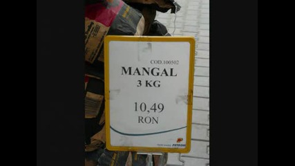 Mangali Killer