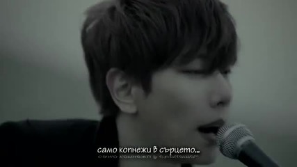 [bg subs]park Hyo Shin - Wild flower