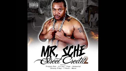 Mr. Sche - I Grind (feat. Project Pat_ Teflon & Triggamane)